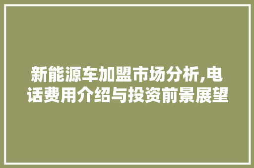 新能源车加盟市场分析,电话费用介绍与投资前景展望