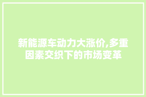 新能源车动力大涨价,多重因素交织下的市场变革