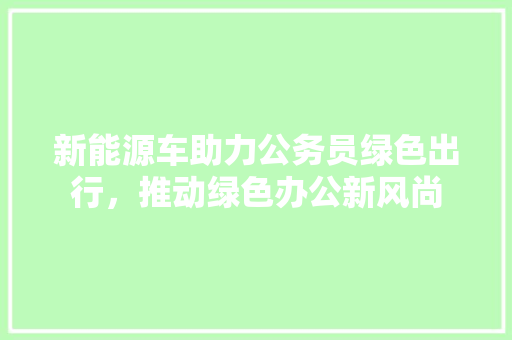 新能源车助力公务员绿色出行，推动绿色办公新风尚