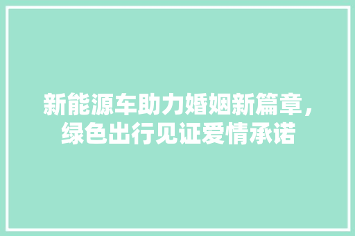 新能源车助力婚姻新篇章，绿色出行见证爱情承诺