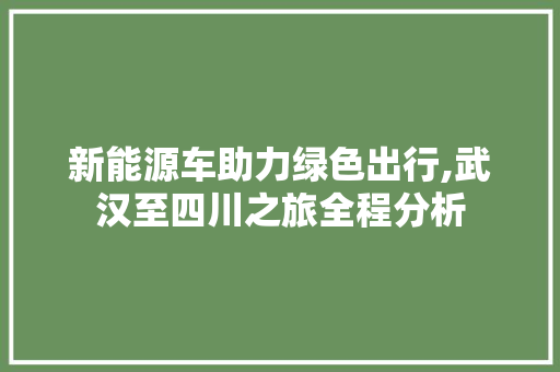 新能源车助力绿色出行,武汉至四川之旅全程分析