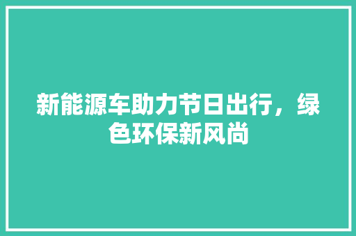 新能源车助力节日出行，绿色环保新风尚