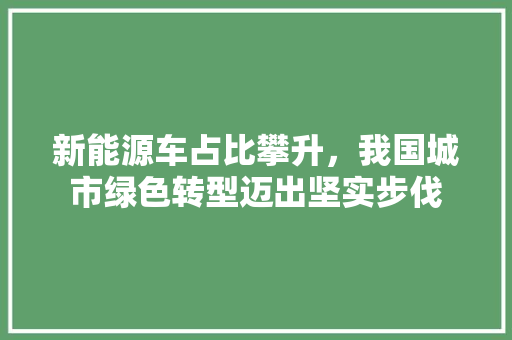 新能源车占比攀升，我国城市绿色转型迈出坚实步伐