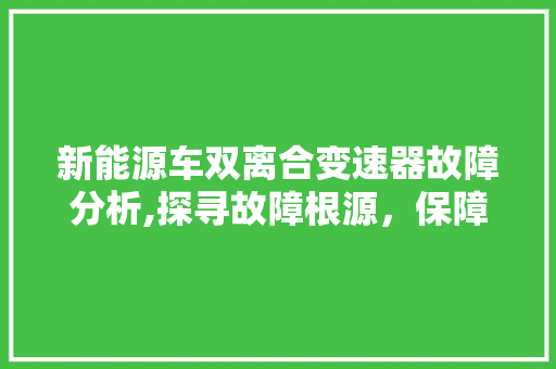 新能源车双离合变速器故障分析,探寻故障根源，保障行车安全