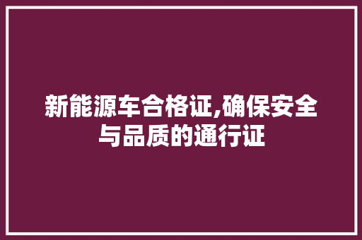 新能源车合格证,确保安全与品质的通行证