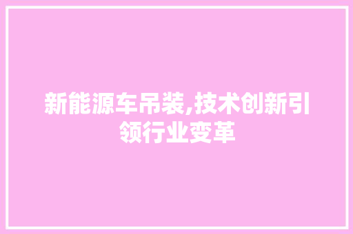 新能源车吊装,技术创新引领行业变革