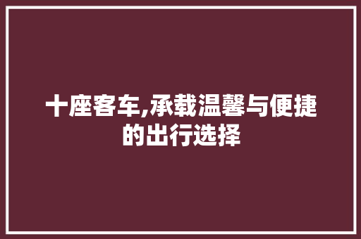 十座客车,承载温馨与便捷的出行选择