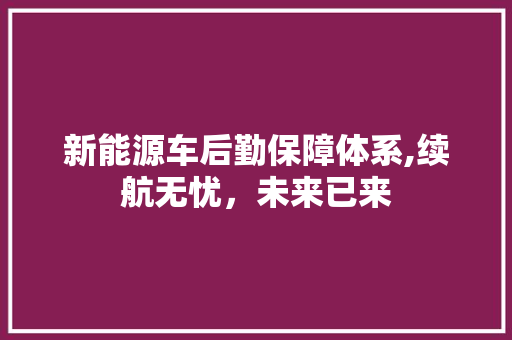 新能源车后勤保障体系,续航无忧，未来已来