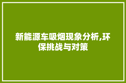 新能源车吸烟现象分析,环保挑战与对策