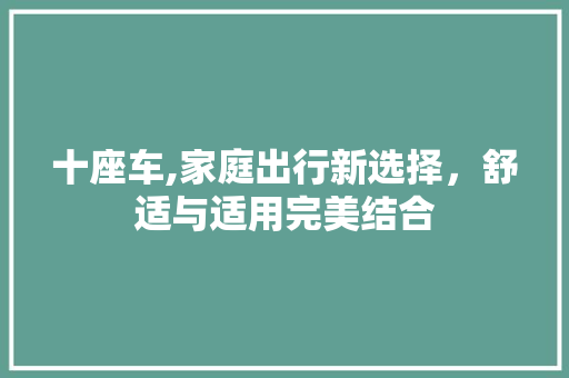 十座车,家庭出行新选择，舒适与适用完美结合
