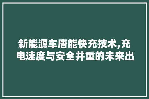 新能源车唐能快充技术,充电速度与安全并重的未来出行解决方法