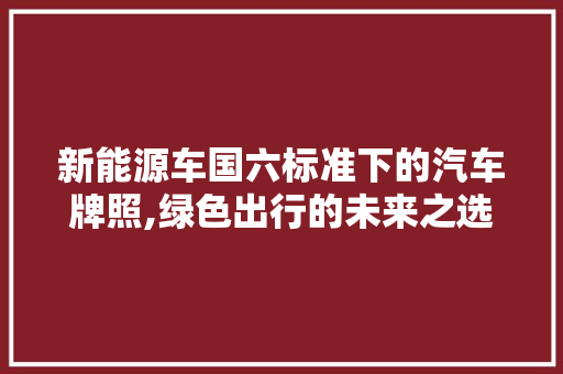 新能源车国六标准下的汽车牌照,绿色出行的未来之选
