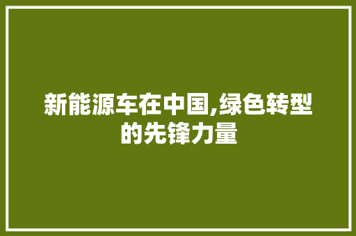 新能源车在中国,绿色转型的先锋力量