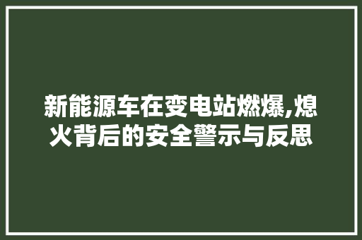新能源车在变电站燃爆,熄火背后的安全警示与反思