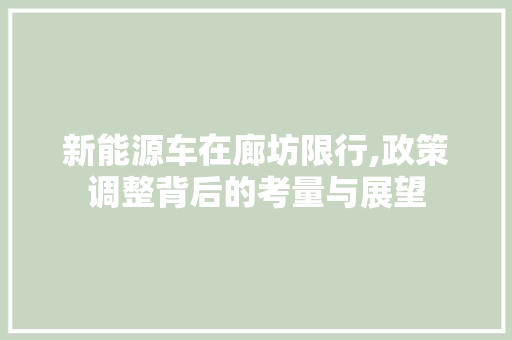 新能源车在廊坊限行,政策调整背后的考量与展望