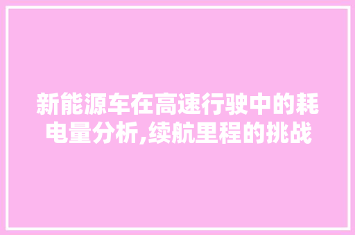 新能源车在高速行驶中的耗电量分析,续航里程的挑战与应对