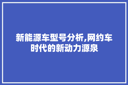新能源车型号分析,网约车时代的新动力源泉