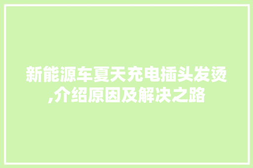 新能源车夏天充电插头发烫,介绍原因及解决之路