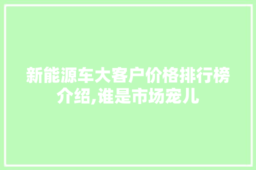 新能源车大客户价格排行榜介绍,谁是市场宠儿