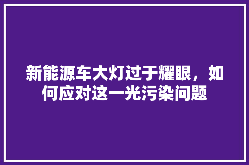新能源车大灯过于耀眼，如何应对这一光污染问题