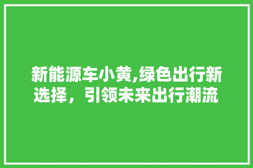 新能源车小黄,绿色出行新选择，引领未来出行潮流