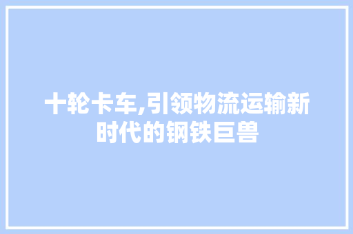 十轮卡车,引领物流运输新时代的钢铁巨兽