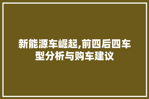 新能源车崛起,前四后四车型分析与购车建议