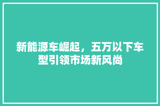 新能源车崛起，五万以下车型引领市场新风尚