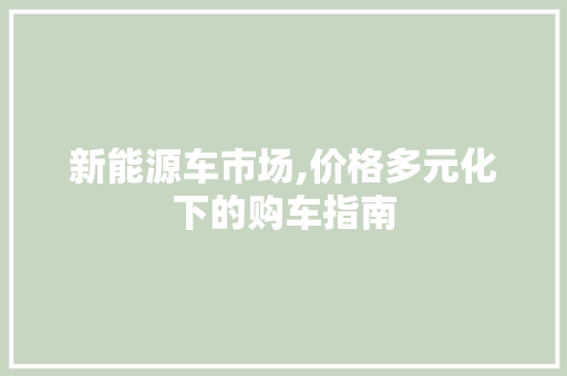 新能源车市场,价格多元化下的购车指南