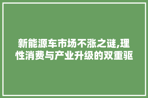 新能源车市场不涨之谜,理性消费与产业升级的双重驱动