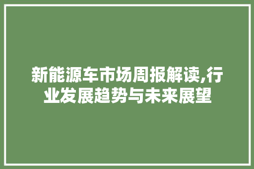 新能源车市场周报解读,行业发展趋势与未来展望