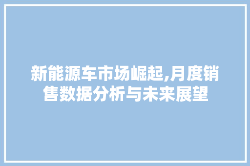 新能源车市场崛起,月度销售数据分析与未来展望