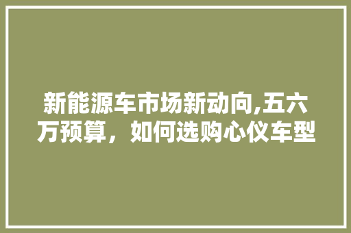 新能源车市场新动向,五六万预算，如何选购心仪车型