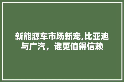 新能源车市场新宠,比亚迪与广汽，谁更值得信赖