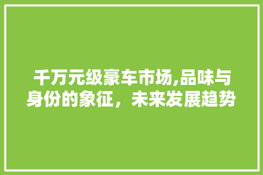 千万元级豪车市场,品味与身份的象征，未来发展趋势解读