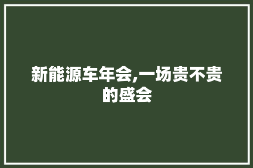 新能源车年会,一场贵不贵的盛会