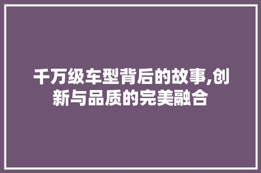 千万级车型背后的故事,创新与品质的完美融合