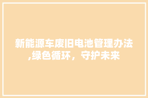 新能源车废旧电池管理办法,绿色循环，守护未来