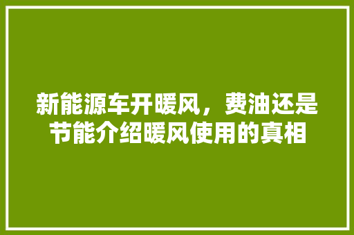 新能源车开暖风，费油还是节能介绍暖风使用的真相