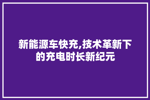 新能源车快充,技术革新下的充电时长新纪元