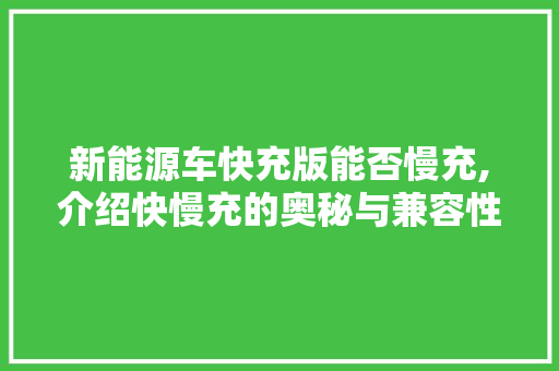 新能源车快充版能否慢充,介绍快慢充的奥秘与兼容性