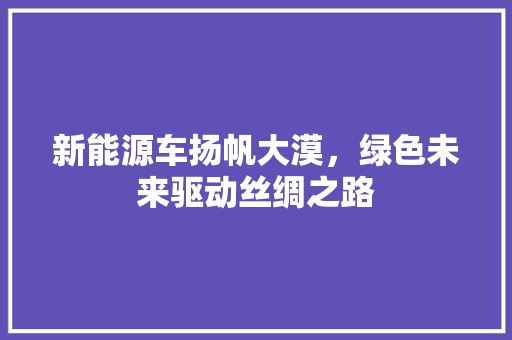 新能源车扬帆大漠，绿色未来驱动丝绸之路