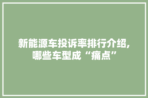 新能源车投诉率排行介绍,哪些车型成“痛点”