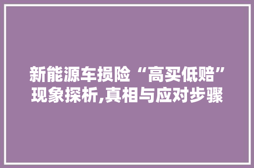 新能源车损险“高买低赔”现象探析,真相与应对步骤