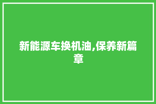 新能源车换机油,保养新篇章