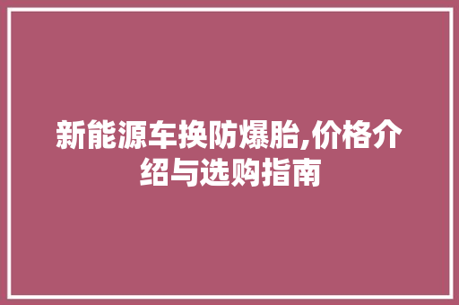 新能源车换防爆胎,价格介绍与选购指南