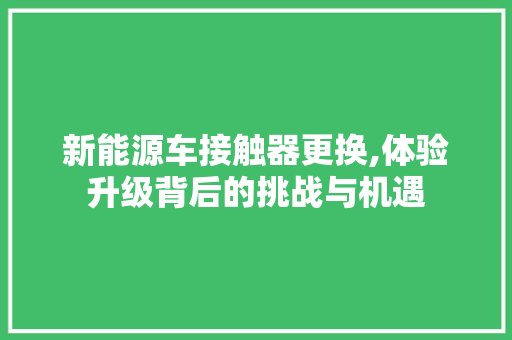 新能源车接触器更换,体验升级背后的挑战与机遇