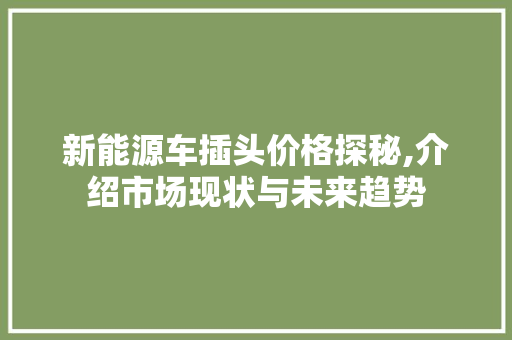 新能源车插头价格探秘,介绍市场现状与未来趋势