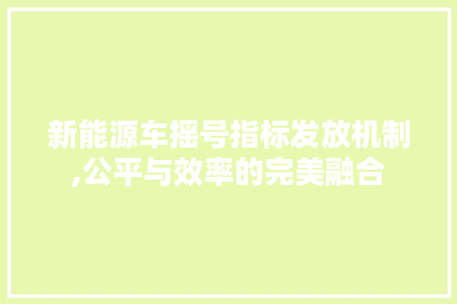 新能源车摇号指标发放机制,公平与效率的完美融合