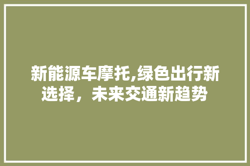 新能源车摩托,绿色出行新选择，未来交通新趋势